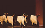 Academia De Baile Cristina Gallardo clases de música en vélez-málaga