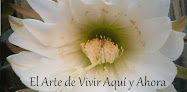 Centro Mindfulness Málaga meditación guiada en vélez-málaga