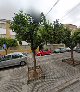Centro Público De Educación De Personas Adultas María Zambrano clases particulares en vélez-málaga