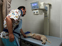Clínica Veterinaria Dr. Sánchez Del Río clínica veterinaria en vélez-málaga
