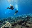 Club De Buceo Lebeta Sub clases particulares en vélez-málaga