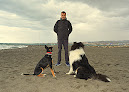 Educador Canino - Psicocanem adiestrador canino en vélez-málaga