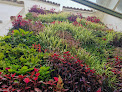 Eiser Jardinería Y Paisajismo S.l.u jardinería en vélez-málaga