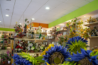 Floristería Florymar floristería en vélez-málaga