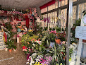 Floristería Siempre Vive floristería en vélez-málaga