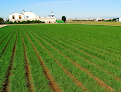 Green Point Fertilizers S.l.u. tratamiento de cultivos en vélez-málaga