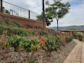 Jardines Del Cerro jardinería en vélez-málaga