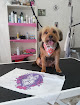 La Perroquería De Noe peluquería canina en vélez-málaga