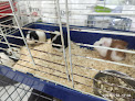 Pajarería El Reclamo peluquería canina en vélez-málaga