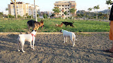 Parque De Perros Velez Malaga paseador de perros en vélez-málaga