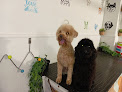 PeluquerÍa Canina Mafi barbería en vélez-málaga