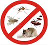 Plagacor control de plagas en vélez-málaga