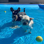 Residencia Canina Málaga Can Resort guardería para perros en vélez-málaga