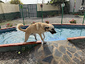 Residencia Canina Unican guardería para perros en vélez-málaga