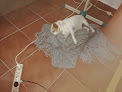 Residencia Canina Y Felina Don Animal adopción de mascotas en vélez-málaga