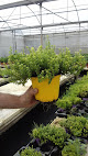 Semilleros La Palma jardinería en vélez-málaga