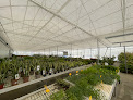 Viveros Abonos Vélez jardinería en Vélez-Málaga