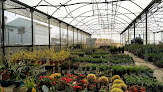 Viveros Sánchez jardinería en vélez-málaga