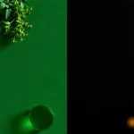 De verde a negro: transformación de colores y estilos