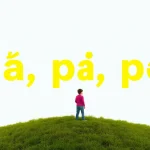 Pí, pí, pí: descubre su significado y curiosidades