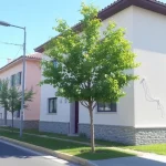 Renovación de calles en Benagalbón alcanza el 50 por ciento