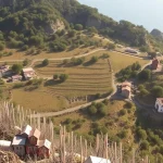 Torrox logra su ascenso triunfante