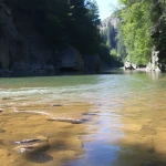 Vertidos de aguas residuales en el cauce del Río Chillar