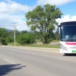 Ampliación de la ruta de transporte a demanda entre Macharaviaya y Rincón de la Victoria
