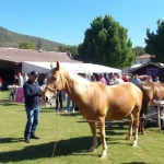 Benamargosa celebra la XIX Fiesta del Campo este domingo