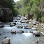 Ecologistas alertan sobre abandono del cauce del Río Chíllar