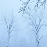 El invierno pasado fue el más cálido en la historia de España