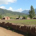 El proyecto UMA en la provincia se expande con Macharaviaya