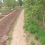 Instalación de césped artificial adjudicada en Campo de Benagalbón