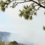 Junta advierte sobre precauciones en temporada alta de incendios