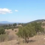 Junta inicia plan para prevenir efectos de altas temperaturas en salud