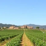 La Granja recibe la Torrox Primavera Party este sábado