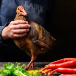 Los principales enemigos de la comida chatarra