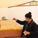 Periana espera más de 15000 visitantes en el XXIII Día del Aceite Verdial