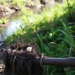 Rotura de balsa de riego sin licencia en Cómpeta contamina río Turvilla